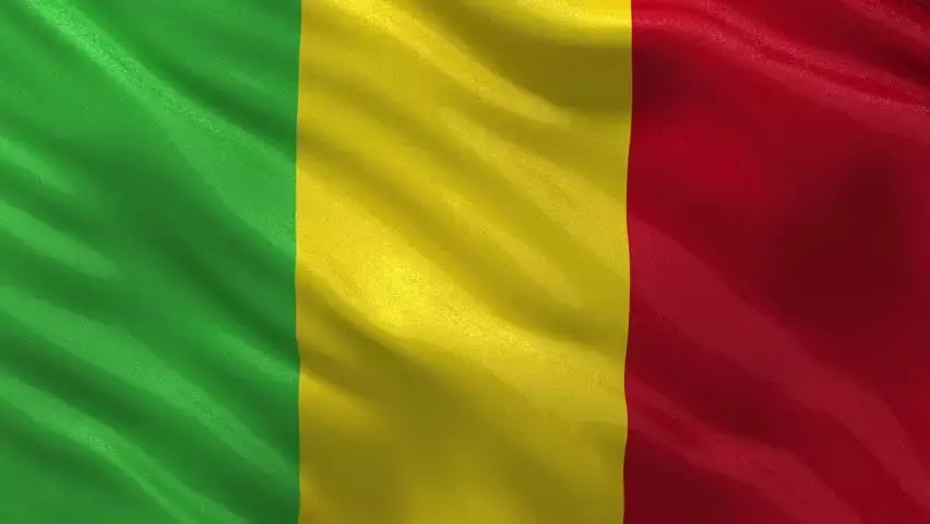 تیم ملی فوتبال مالی: تاریخچه‌ای از افتخارات و قهرمانی‌ها